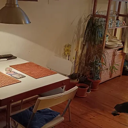 Sharing Bedroom With Host Near Alexanderplatz ברלין