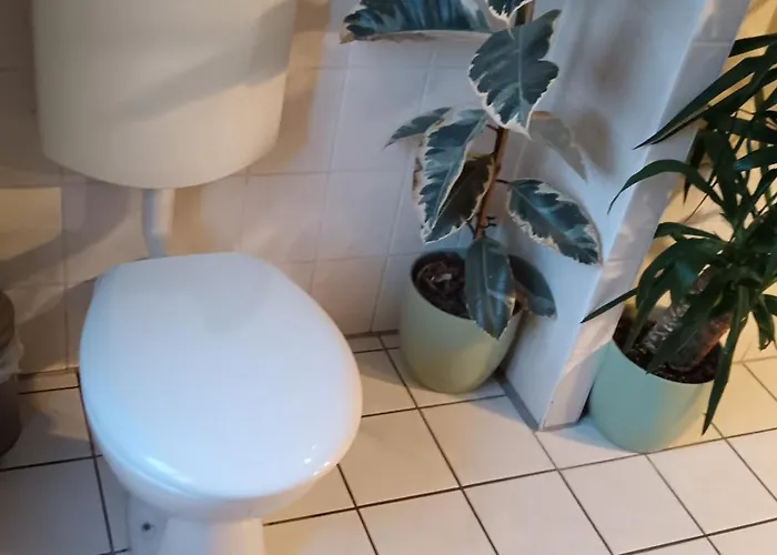 Sharing Bedroom With Host Near Alexanderplatz Hostel